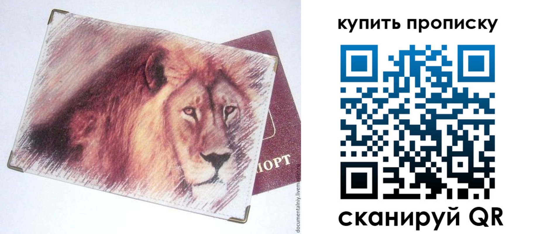 прописка паспорт в Кораблино